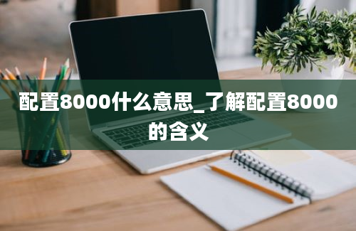 配置8000什么意思_了解配置8000的含义