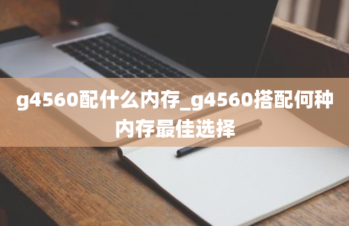 g4560配什么内存_g4560搭配何种内存最佳选择