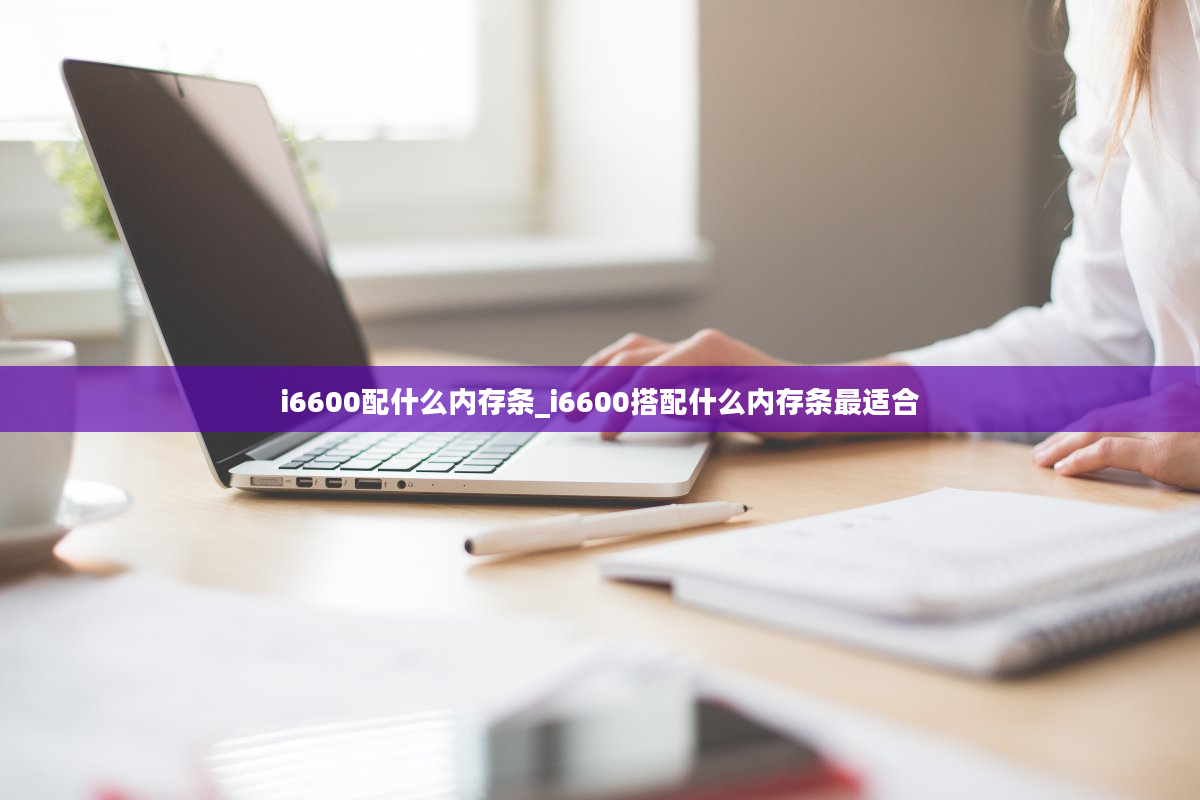 i6600配什么内存条_i6600搭配什么内存条最适合