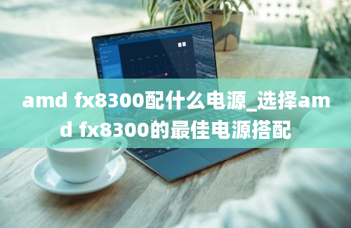 amd fx8300配什么电源_选择amd fx8300的最佳电源搭配