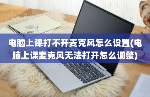 电脑上课打不开麦克风怎么设置(电脑上课麦克风无法打开怎么调整)