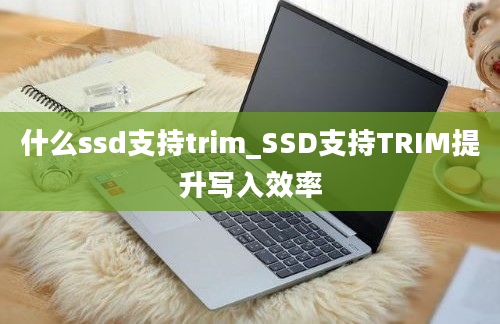 什么ssd支持trim_SSD支持TRIM提升写入效率