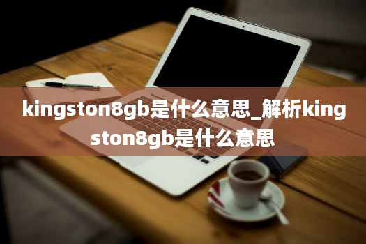 kingston8gb是什么意思_解析kingston8gb是什么意思