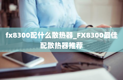 fx8300配什么散热器_FX8300最佳配散热器推荐