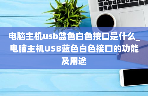 电脑主机usb蓝色白色接口是什么_电脑主机USB蓝色白色接口的功能及用途