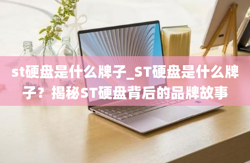 st硬盘是什么牌子_ST硬盘是什么牌子？揭秘ST硬盘背后的品牌故事