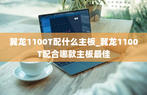 翼龙1100T配什么主板_翼龙1100T配合哪款主板最佳