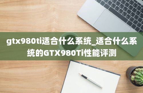 gtx980ti适合什么系统_适合什么系统的GTX980Ti性能评测