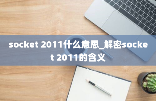 socket 2011什么意思_解密socket 2011的含义