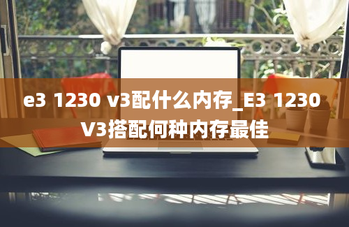 e3 1230 v3配什么内存_E3 1230 V3搭配何种内存最佳