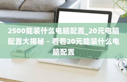 2500能装什么电脑配置_20元电脑配置大揭秘 - 看看20元能装什么电脑配置