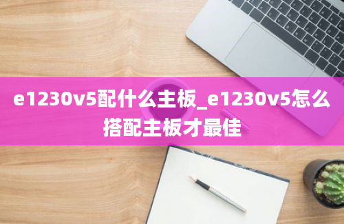 e1230v5配什么主板_e1230v5怎么搭配主板才最佳