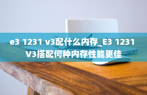 e3 1231 v3配什么内存_E3 1231 V3搭配何种内存性能更佳