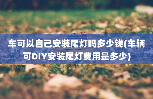 车可以自己安装尾灯吗多少钱(车辆可DIY安装尾灯费用是多少)